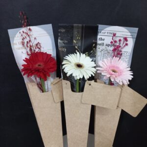 Gerbera x 1 Unid.